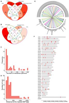 The TiHoCL panel for canine lymphoma: a feasibility study integrating functional genomics and network biology approaches for comparative oncology targeted NGS panel design